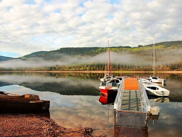 Frhling am Schluchsee &#8211; Bootssteig bei Aha  | Foto: Kathrin Blum