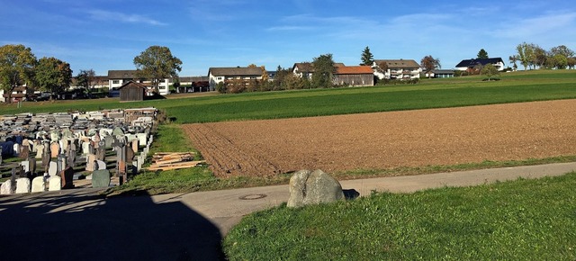 Die Stadt mchte auf dieser Flche im ... Hcklin (links) Baupltze ausweisen.   | Foto: Christa Maier