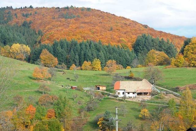 Landkreis Lrrach krzt die Mittel zur Frderung des lndlichen Raums