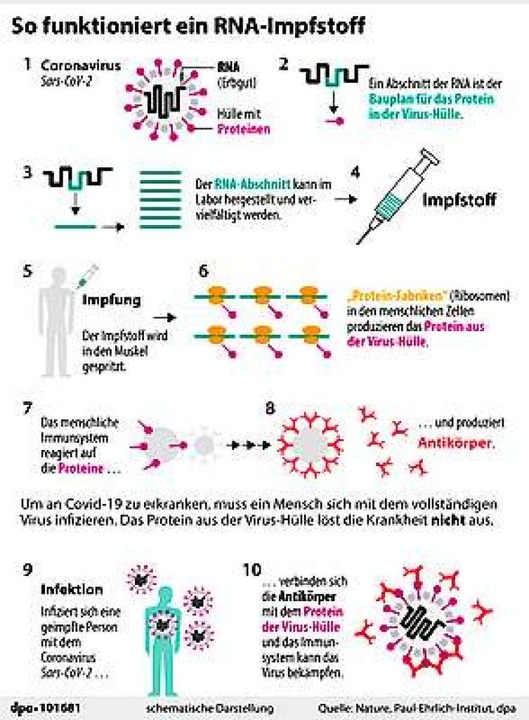 Biontech Und Pfizer Wollen Notfallzulassung Für Impfstoff Beantragen ...