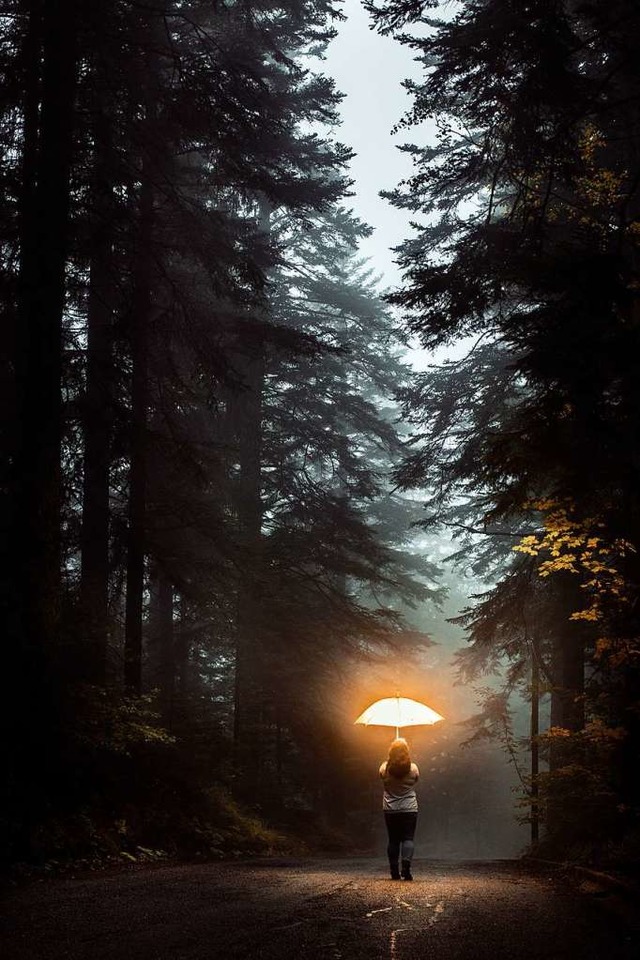 Helles Licht und Bewegung &#8211; ein Schutzschirm gegen den Herbstblues.  | Foto: Lorant  (stock.adobe.com)