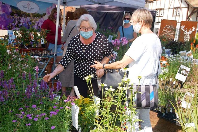 Die Gartenmesse Diga war 2020 eine der...es 2021 wieder Lockerungen geben wird.  | Foto: Petra Wunderle