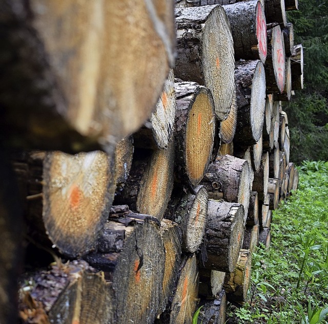 Mit Holz lsst sich derzeit wenig Gewinn erzielen.  | Foto: Frank Schoch