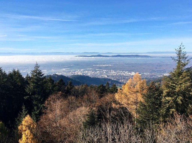 Panorama im Sptherbst.  | Foto: Anna-Dorothea Witte-Rotter