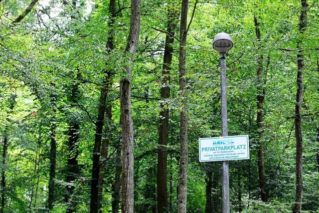 Die Parksituation beim Keidel-Bad besc... Mobilittsausschuss des Gemeinderats.  | Foto: Ingo Schneider