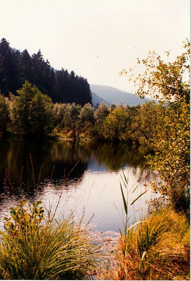 Der Ursee bei Lenzkirch  | Foto: privat
