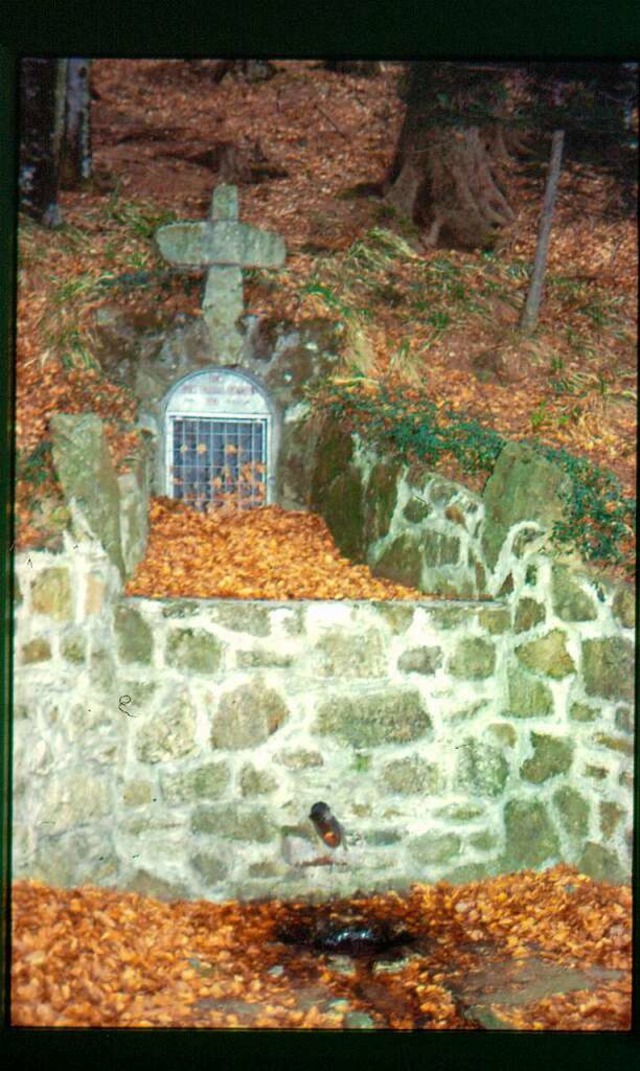 Judas-Thaddus-Quelle bei Ohmenkapelle St. Mrgen  | Foto: roland kroell