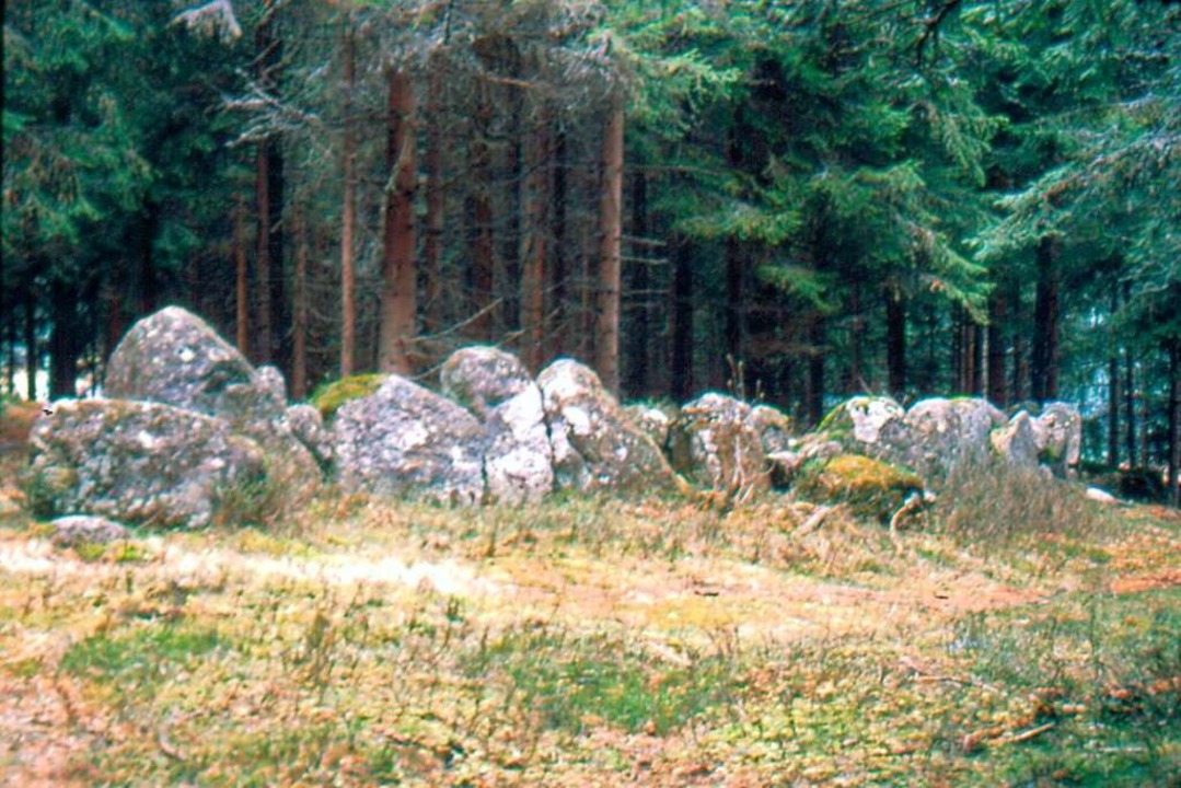 Die Steinkreise von Schluchsee-Blaiwald  | Foto: honorarfrei