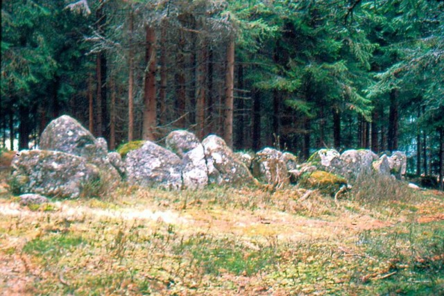 Die Steinkreise von Schluchsee-Blaiwald  | Foto: honorarfrei