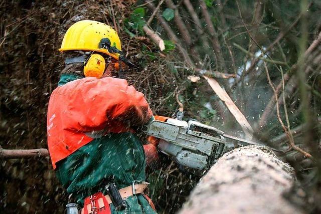 Verletzter Waldarbeiter wird in Zell von Feuerwehr und Bergwacht geborgen