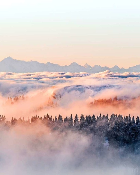 Nebel im Schwarzwald, fotografiert von Milan Janik Öhler  | Foto: Milan Janik Öhler