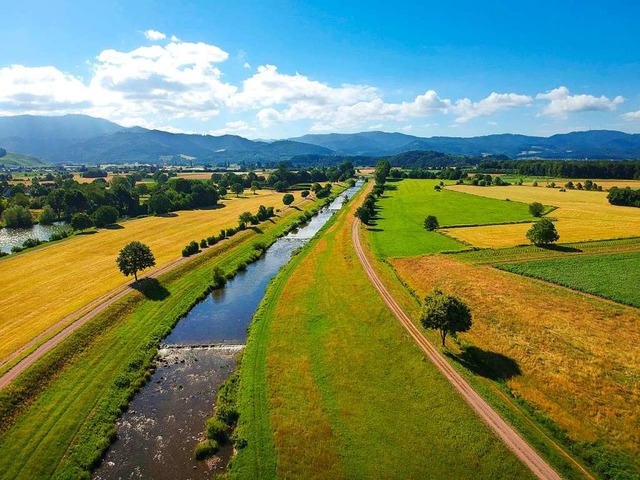 Die Elz zwischen Wasser und Kollmarsre...hen, die sich am Fluss erholen wollen.  | Foto: Dieter Ruf