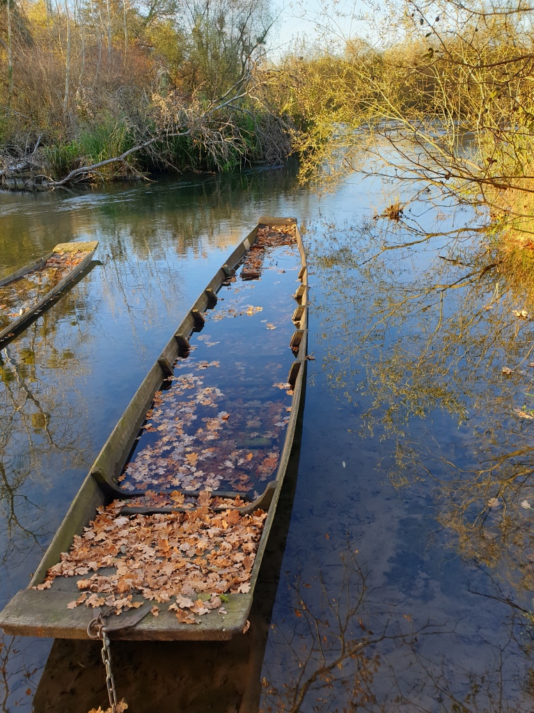 Herbstimpressionen