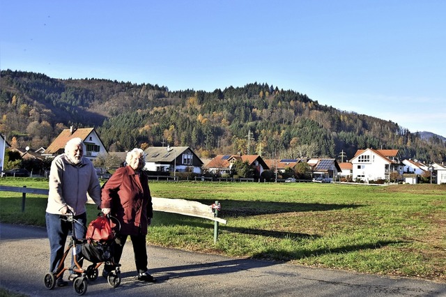 Wo einst ein kleines Naherholungsgebie...n im November vor zwei Jahren gefllt.  | Foto: Angelika Schmidt