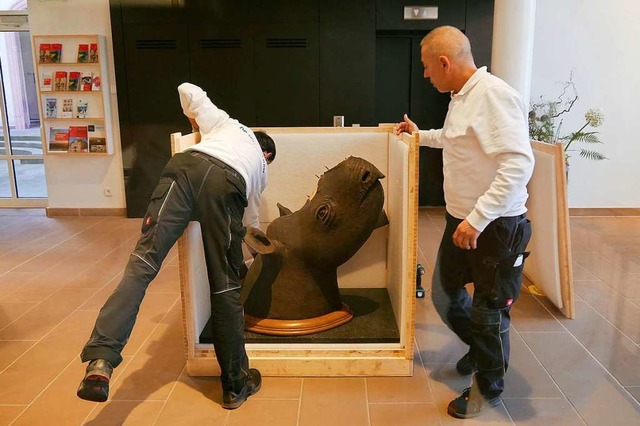 Sicher verpackt reist das Nashorn-Prparat in die Landeshauptstadt.  | Foto: Museum im Ritterhaus Offenburg