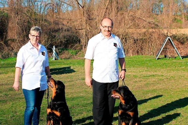 Chef des Rottweiler Klubs Eimeldingen ärgert sich über Hundesteuer-Diskussion
