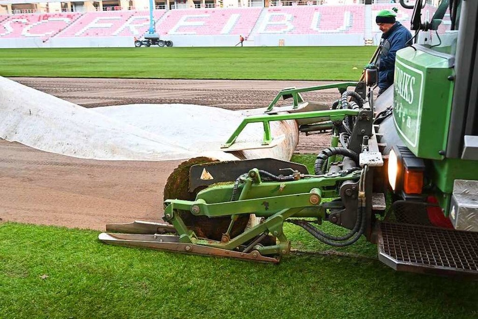 Es grünt im neuen SC-Stadion. Auf diesem Rasen soll der Bundesligist seine Spiele austragen. (Foto: Achim Keller) Es grünt im neuen SC-Stadion. Auf diesem Rasen soll der Bundesligist seine Spiele austragen. (Foto: Achim Keller)