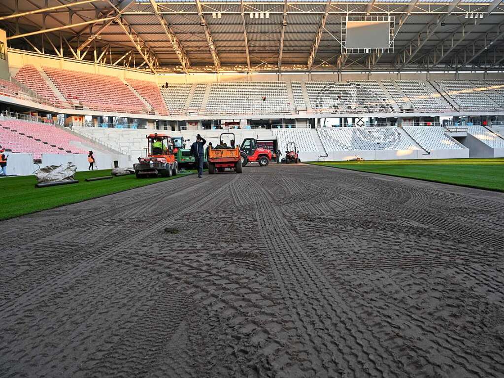 Es grnt im neuen SC-Stadion. Auf diesem Rasen soll der Bundesligist seine Spiele austragen.