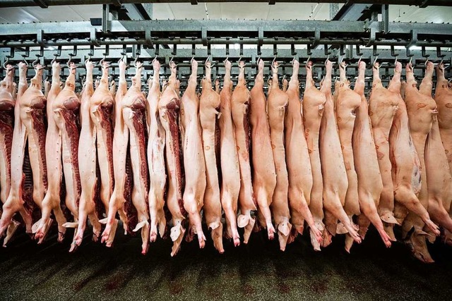 Mit dem Gesetz reagiert die groe Koal...rus-Ausbrche in der Fleischindustrie.  | Foto: Mohssen Assanimoghaddam (dpa)