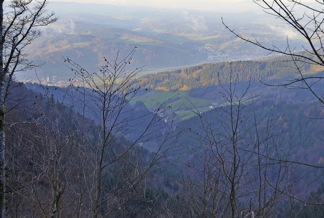 Der tiefe Einschnitt des Erzenbach zwi...m abschssigen Gelnde heranzukommen.   | Foto: Nikolaus Bayer