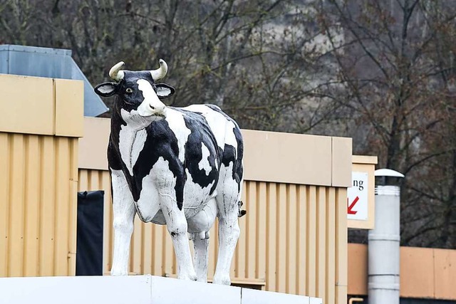 Eine Plastik-Kuh steht auf einem Verka...wurde er von den Behrden geschlossen.  | Foto: Felix Kstle (dpa)