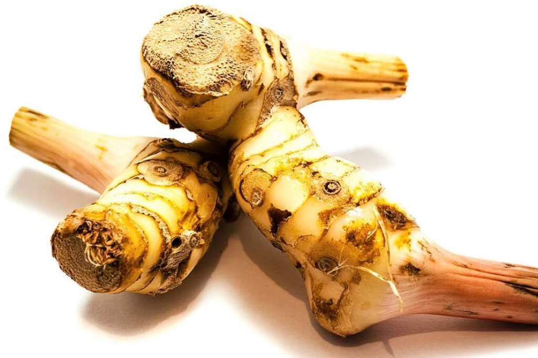 Galgant regt die Durchblutung an Gesundheit & Ernährung Badische