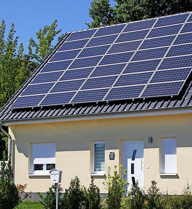 Photovoltaikanlage  | Foto: Nestor Bachmann (dpa)