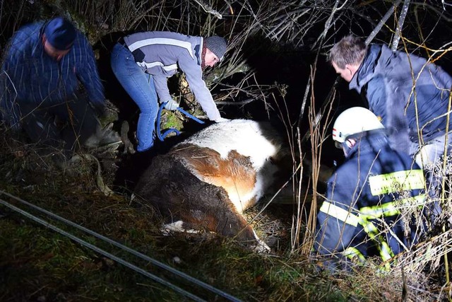 Das Pferd in seiner hilflosen Lage.  | Foto: Kamera24