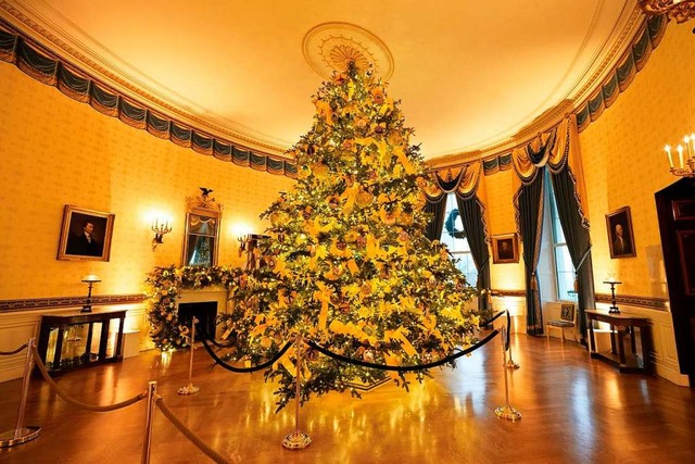 Der offizielle Weihnachtsbaum im Blaue...Room) passt gerade so unter die Decke.  | Foto: Patrick Semansky (dpa)