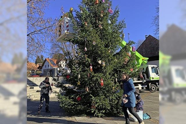 Drse schmckt Baum selbst