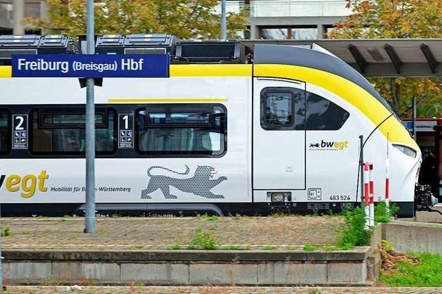 Oberleitungsstrung am Freiburger Hauptbahnhof sorgt fr Zugausflle