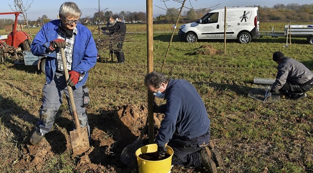 Zugepackt haben Schutterner Ortschafts...211; letztere wurden jetzt gestohlen.   | Foto: Walter Holtfoth