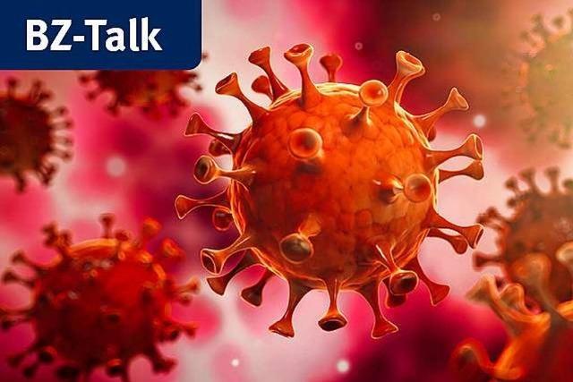 BZ-Talk: Wie das Immunsystem gegen das Coronavirus aufrstet