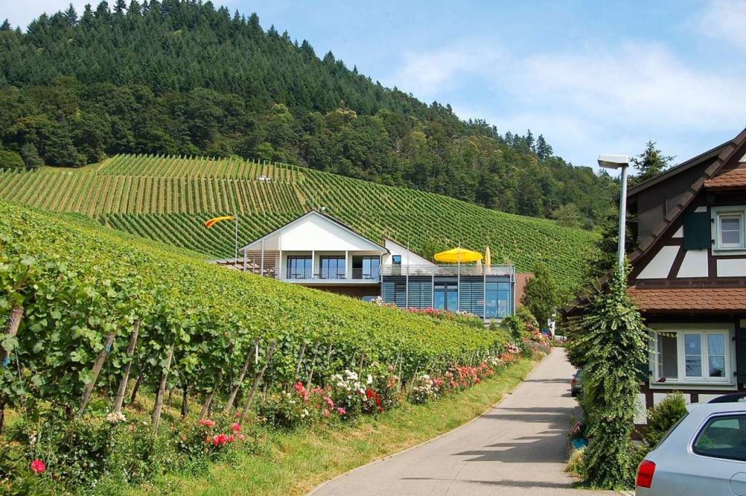 Althoff-Luxushotels Steigen Beim Weingut Schloss Ortenberg Als Pächter ...