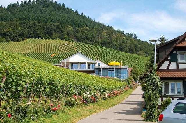 Das prachtvoll gelegene Weingut Schlos...t inmitten seiner 45 Hektar Rebflche.  | Foto: hr