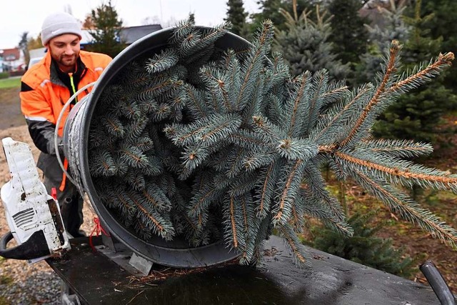 Vom Wald ins Wohnzimmer  | Foto: Uli Deck (dpa)