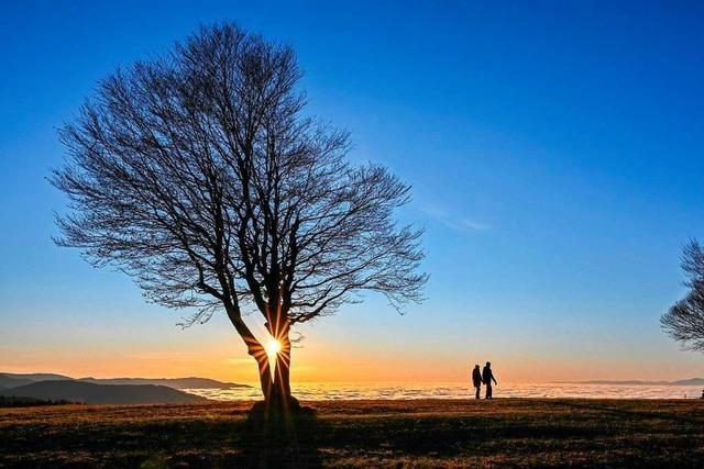 ber dem Nebelmeer strahlt die Abendsonne auf dem Schauinsland