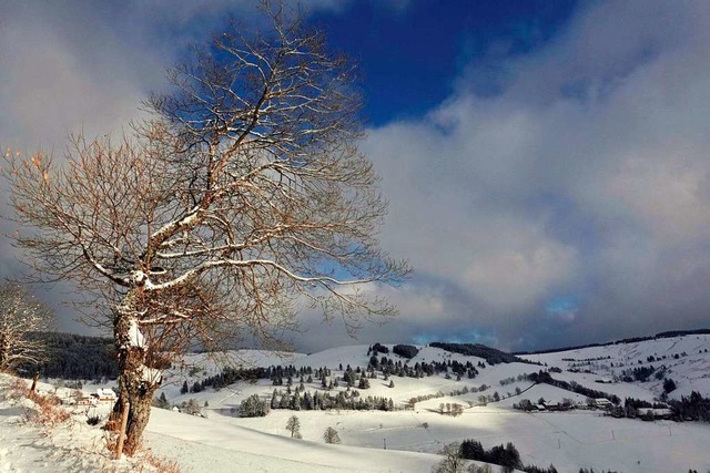 Schnee im Mnstertal: Blick Richtung Schauinslandhalde ber Stohren.  | Foto: Rainer Dnzen