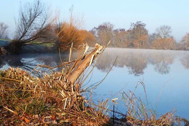 Der Kollmarsreuter Baggersee sieht ziemlich hsslich aus