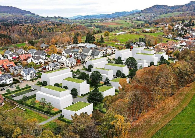 Die Kubatur der geplanten Gebude inkl...hen, die die Gemeinde angefertigt hat.  | Foto: Gemeinde Bollschweil