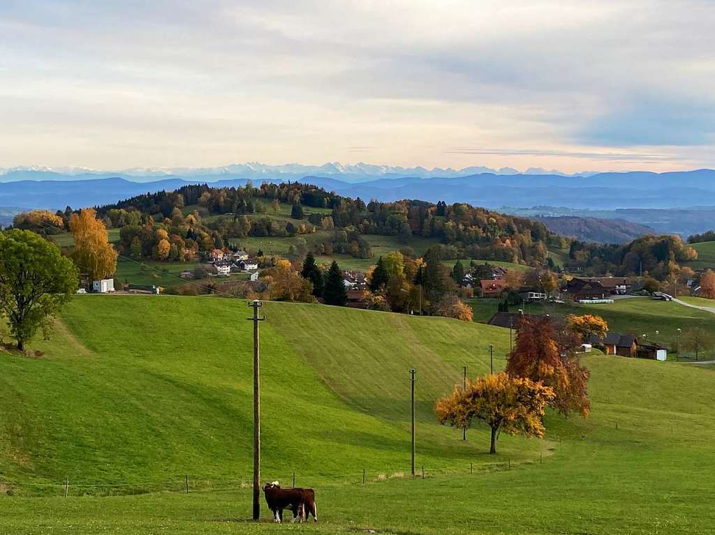 Gresgen mit Blick auf Basel, fotografiert von Christoph Schneider