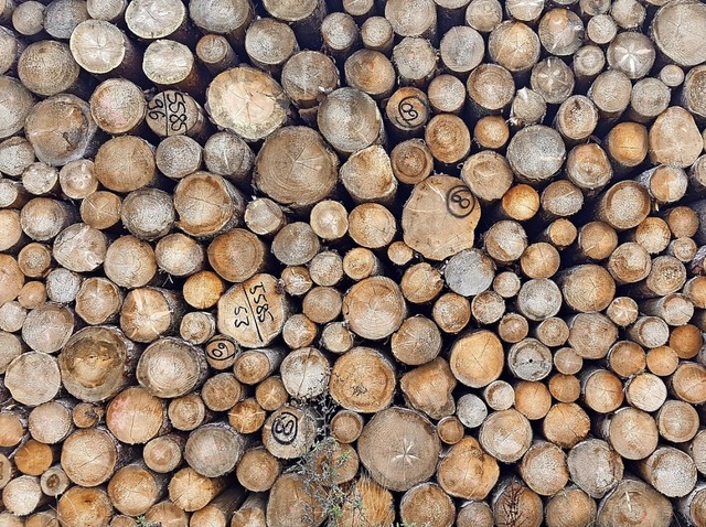 Holzpolter am Wegesrand: Am Baustoff H...rrscht zumal in Sdbaden kein Mangel.   | Foto: Pro Holz Schwarzwald
