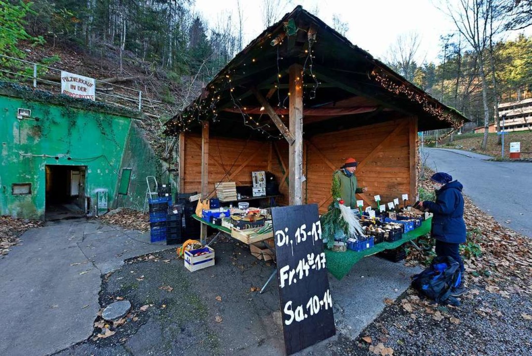 Pilze aus dem Schlossbergbunker gibt&#8217;s vor Ort.  | Foto: Michael Bamberger