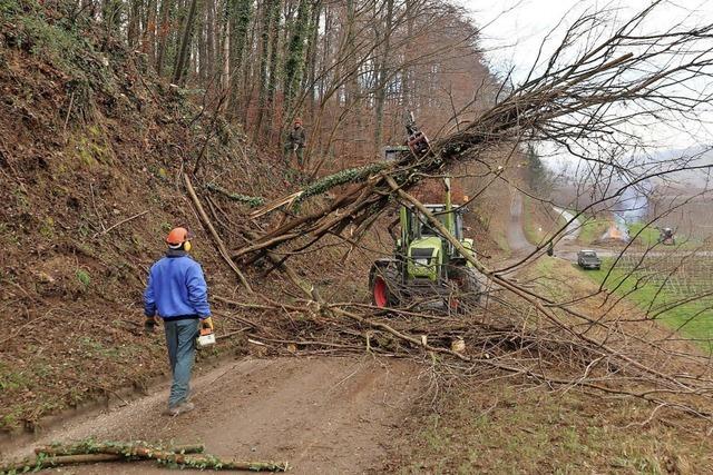 Winzer helfen Gemeinde bei der Arbeit