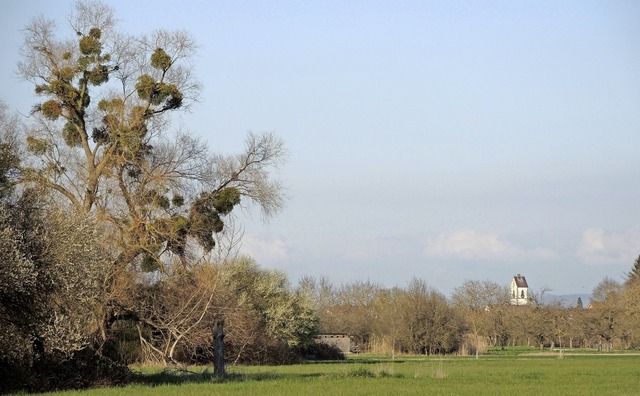 An der Gemarkungsgrenze zwischen Weisw...r Turm der Weisweiler Kirche zu sehen.  | Foto: Roland Vitt