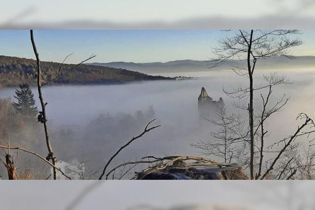 Teninger Burgruine versteckt sich im Nebel