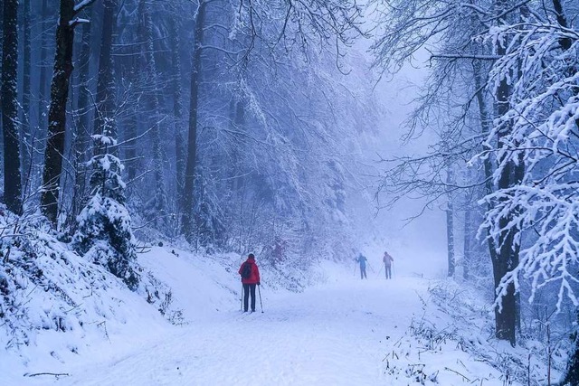 Willkommen im Winter-Wunderland am Lipple.  | Foto: Birgit-Cathrin Duval