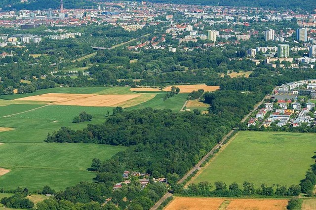 Zwischen Rieselfeld (rechter Bildrand)...n, was viel Protest hervorgerufen hat.  | Foto: Nils Theurer