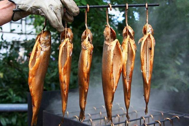 Der Fischerverein Schwörstadt bietet zu Weihnachten Forellen zum Abholen