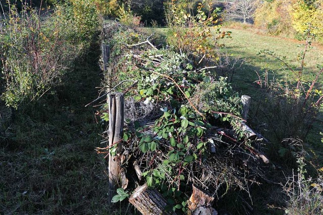 Ein knstliches Gebilde, aber mit hohe...-Hecke wird aus Grnschnitt aufgebaut.  | Foto: Alexander Huber